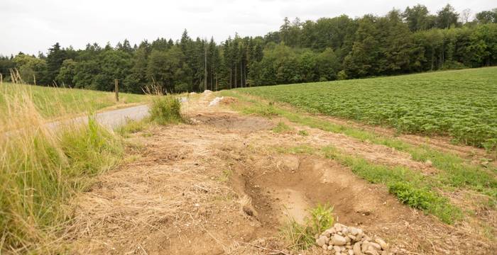 Blick auf Tümpellandschaft