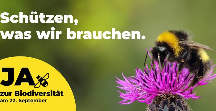 Schützen was wir brauchen