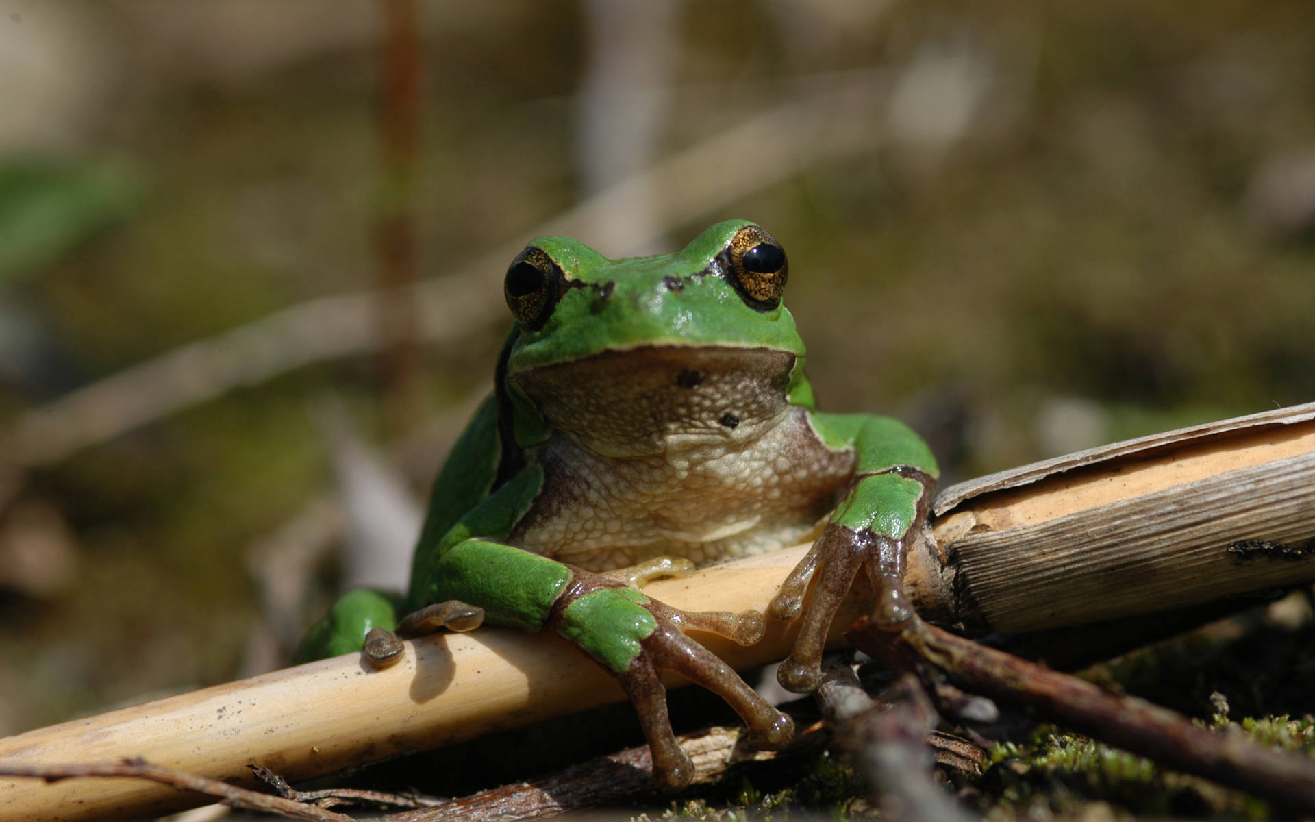 Spenden Sie für Pro Natura Aargau | Pro Natura Aargau