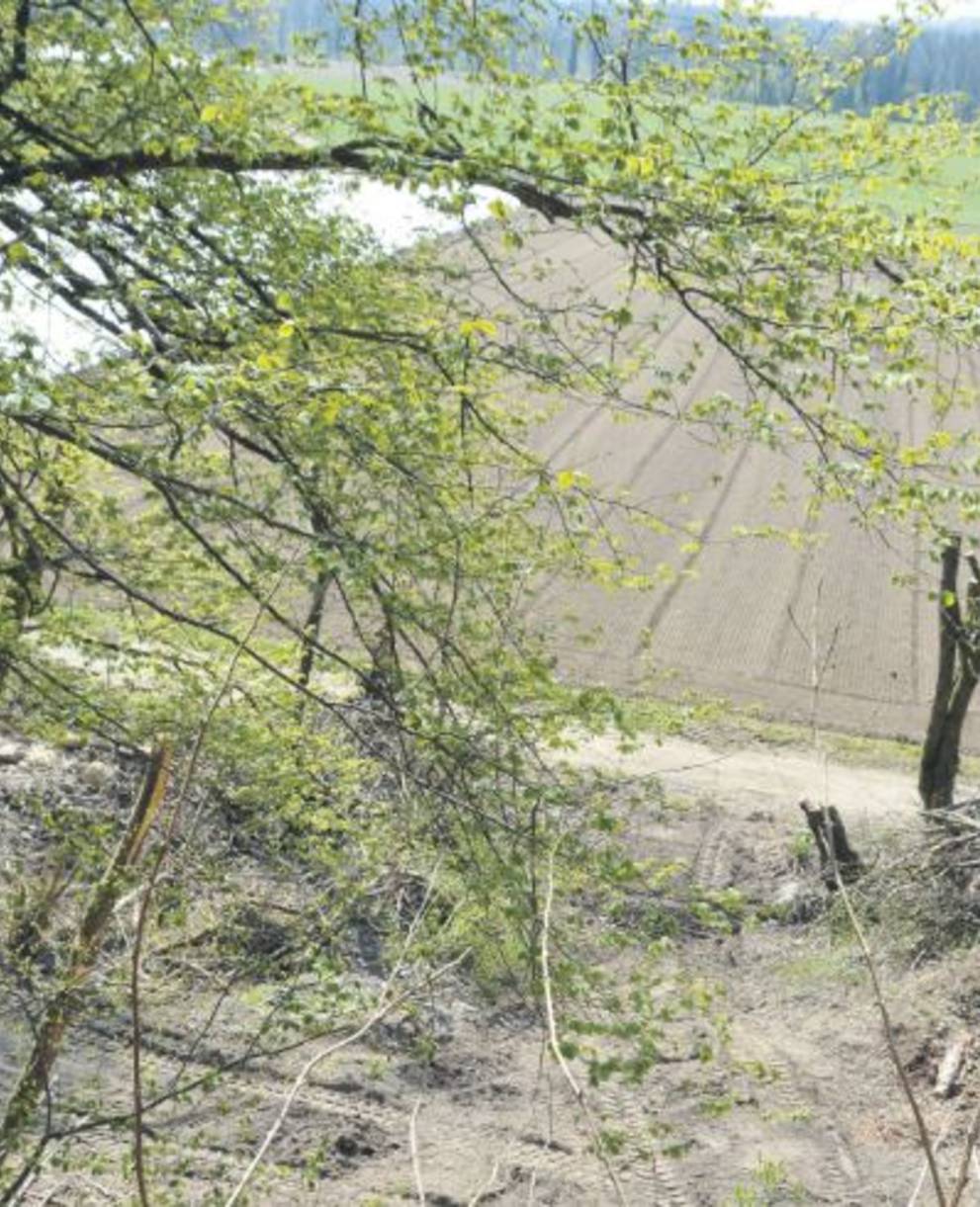 Etwa an diesem Standort werden die Weiher erstellt