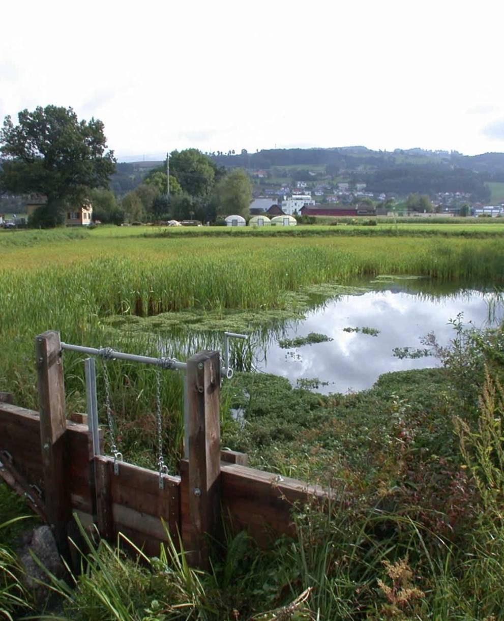 Schilfretentionsanlage Geuensee